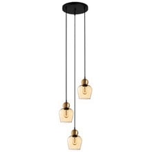 Champan Glass & Iron 3 Light Pendant